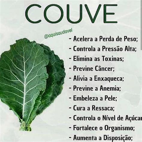 Couve – O Que é, Para que Serve, Benefícios e Malefícios.